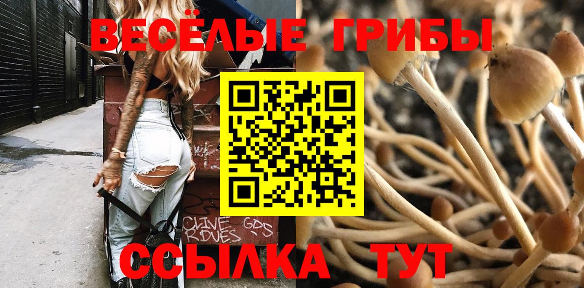 Галлюциногенные грибы Psilocybine cubensis  Вход с VPN  Галлюциногенные грибы Cubensis  Кирово-Чепецк 