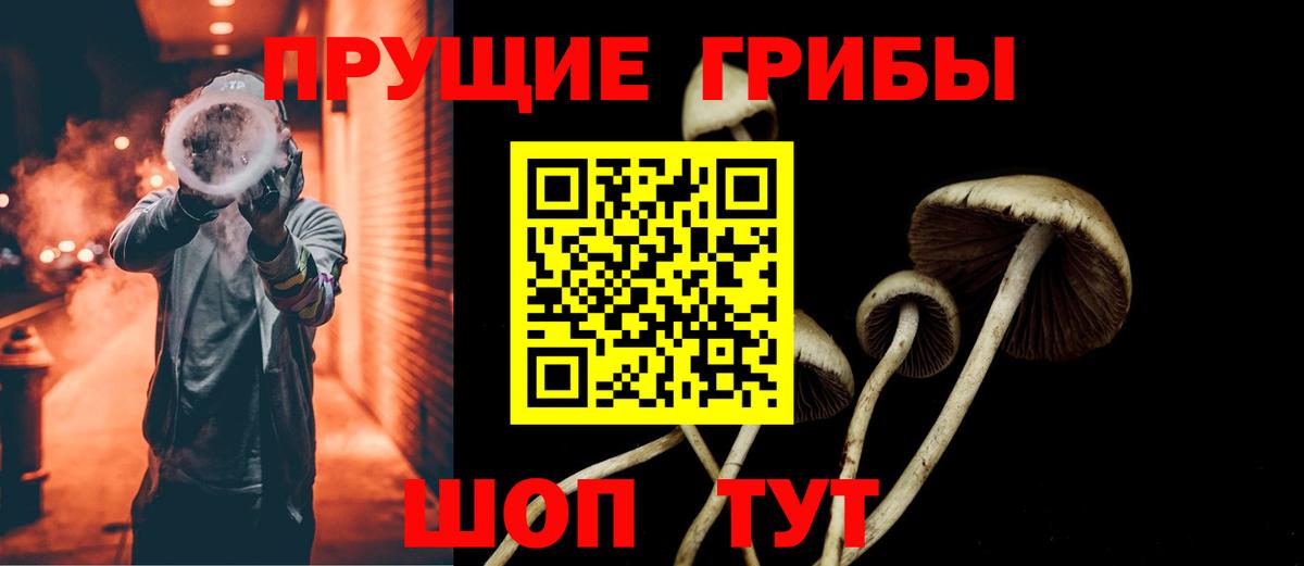 Псилоцибиновые грибы Psilocybe Кирово-Чепецк